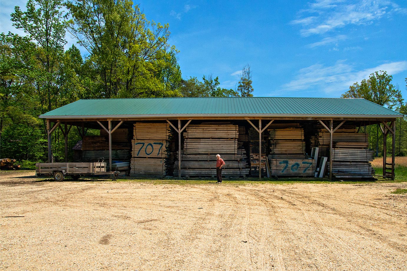 Solid Ambrosia Maple : Air-Dried 3 to 6 Years