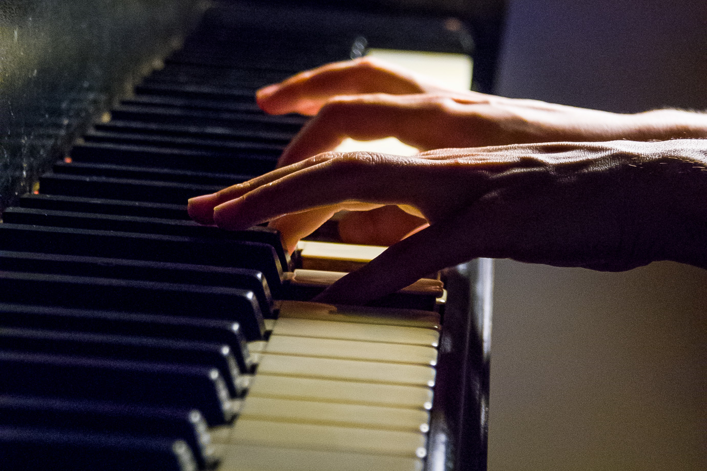 The Excitement : Of Live Music